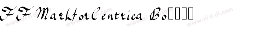 FFMarkforCentrica Bo字体转换